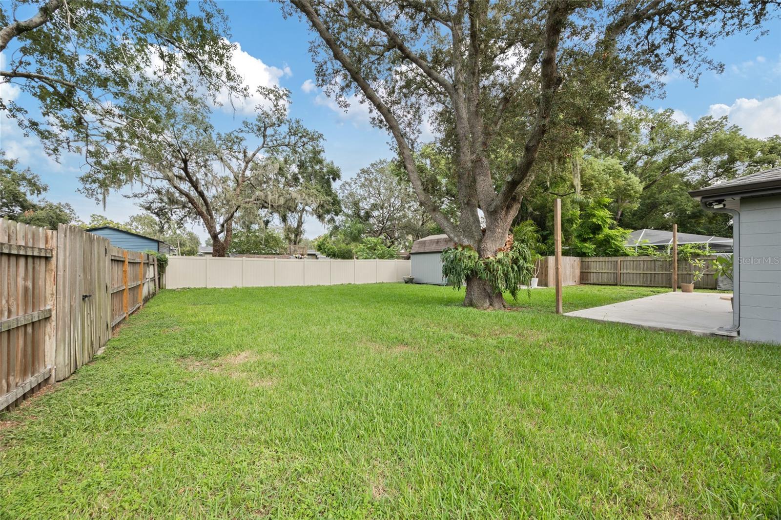 Back Yard