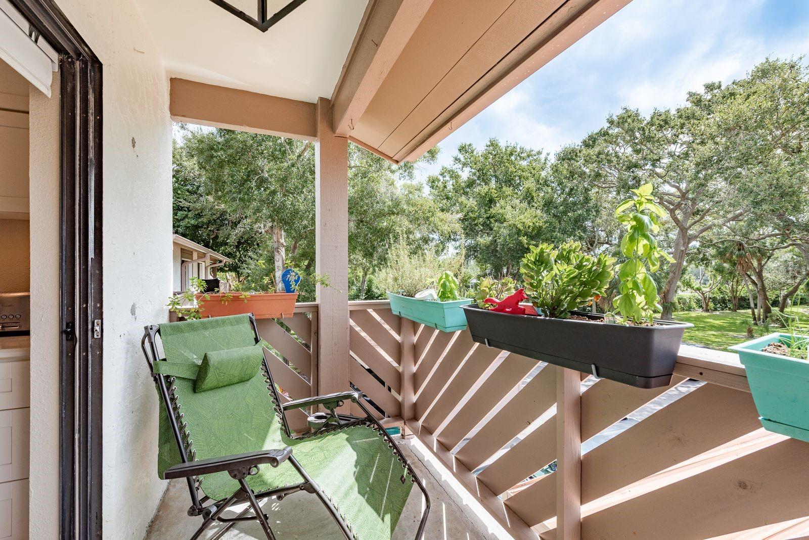 Kitchen Balcony