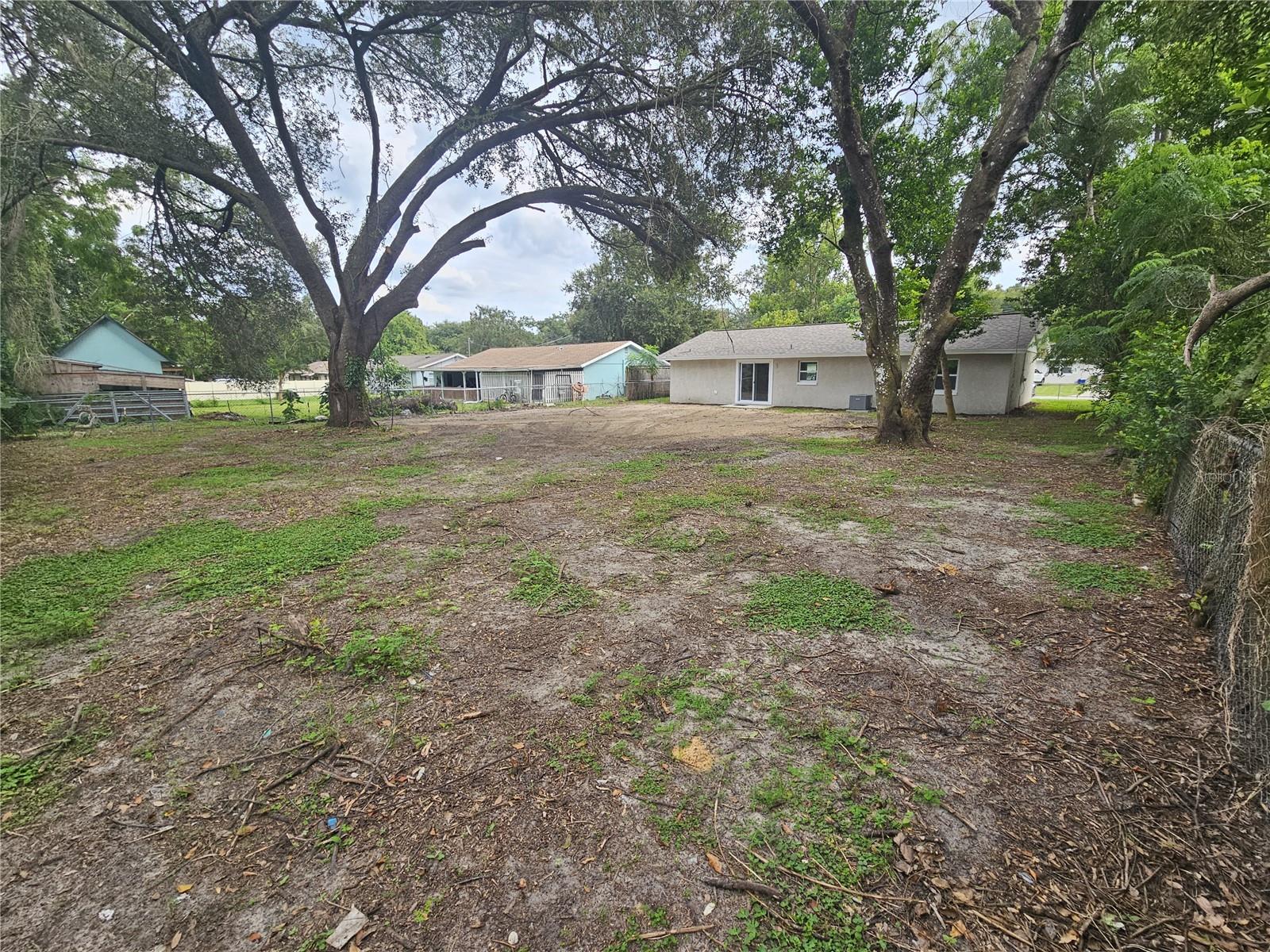 Back yard