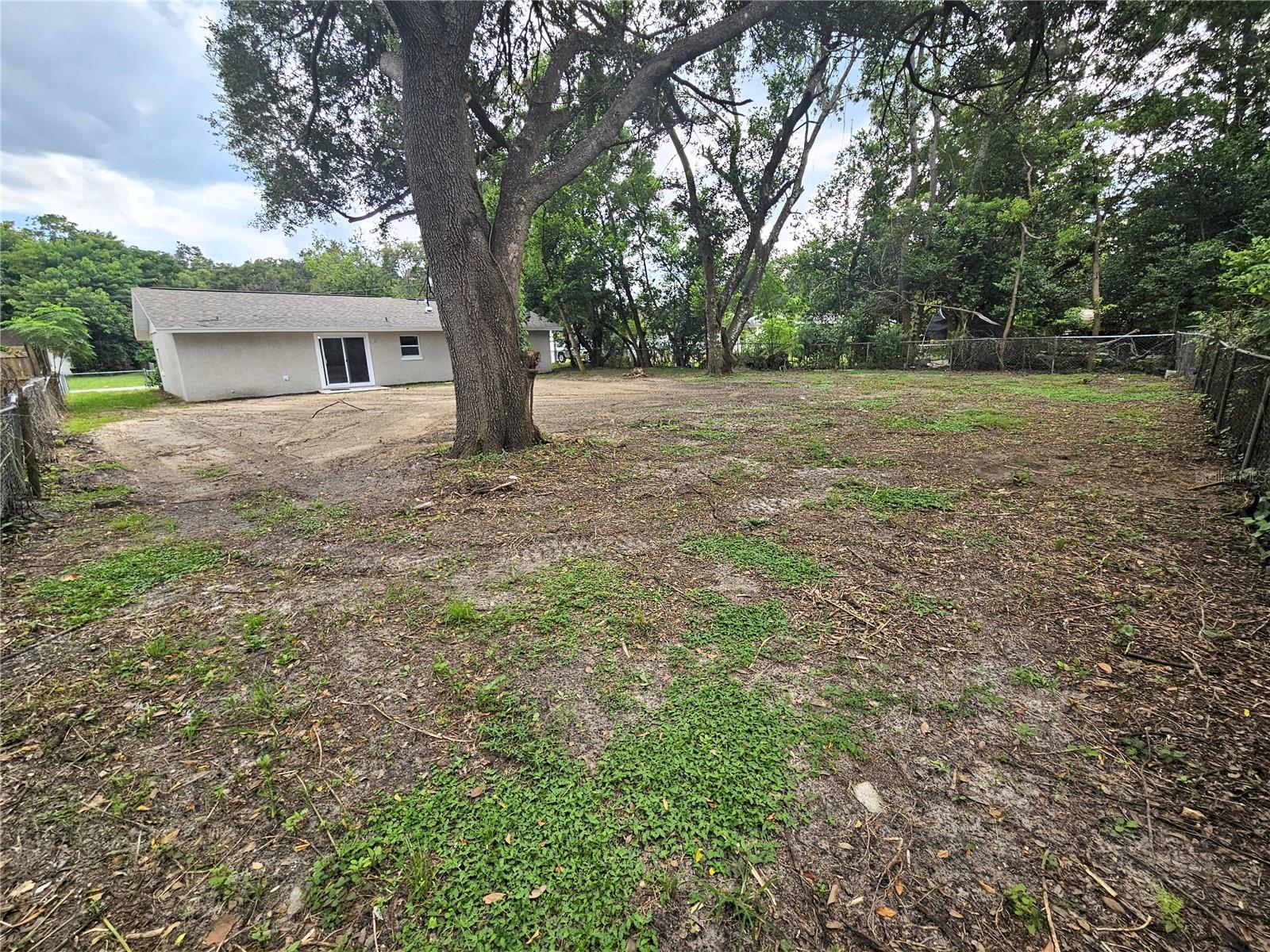 Back yard