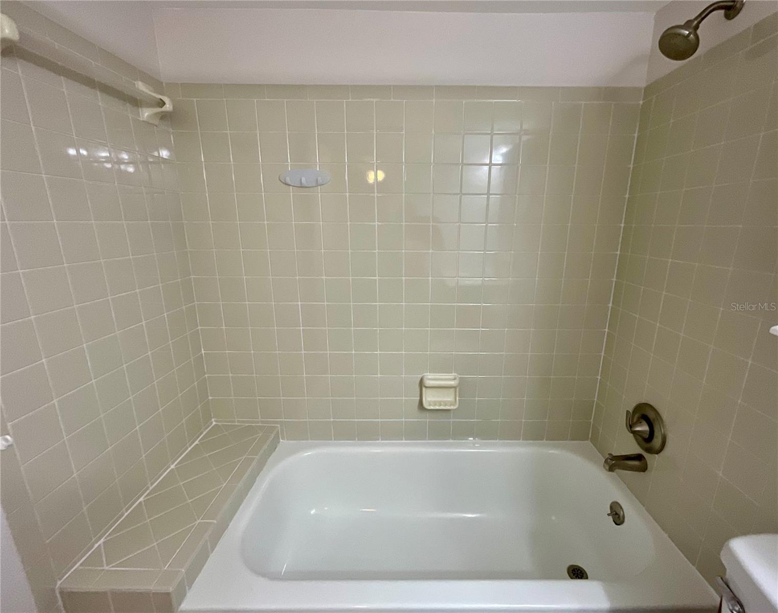 21-Tub-shower area