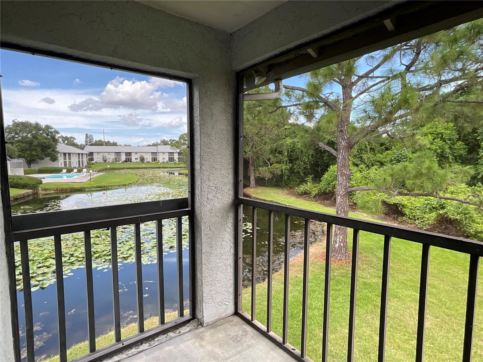 29-Balcony view of pond and pool