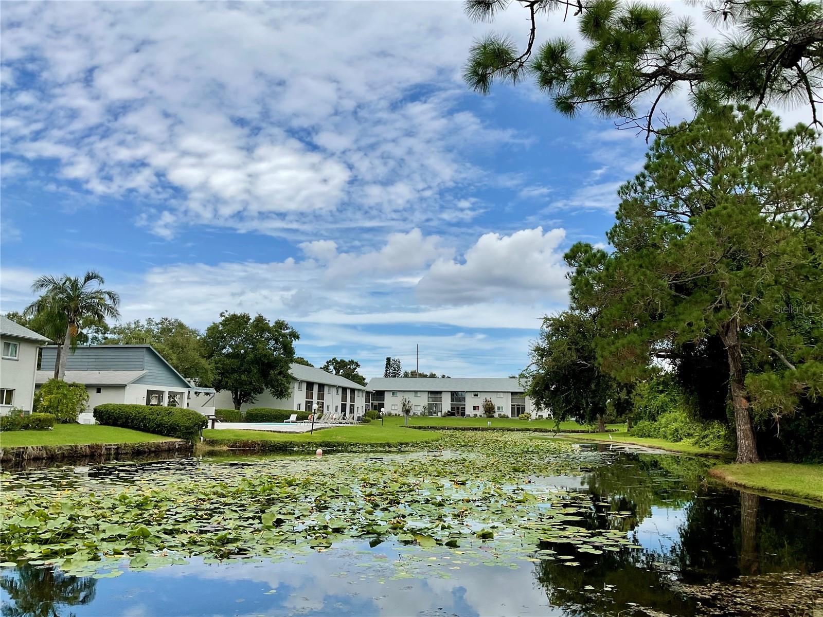 40-Pond view