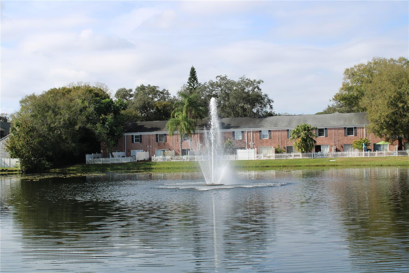 Pond on Cedar Cypress