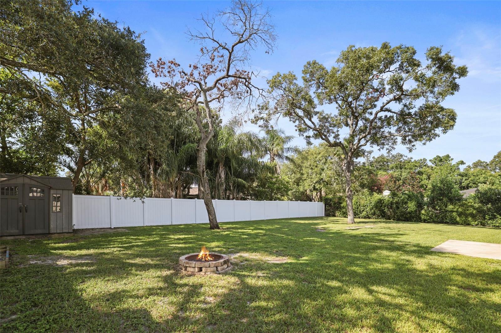 Back Yard