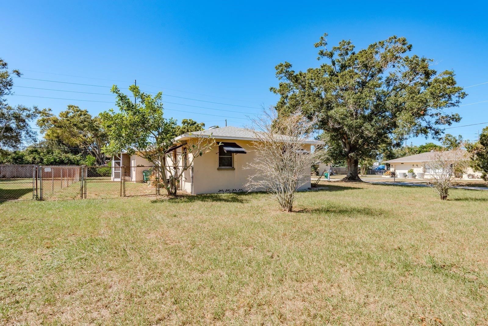 Large Side yard