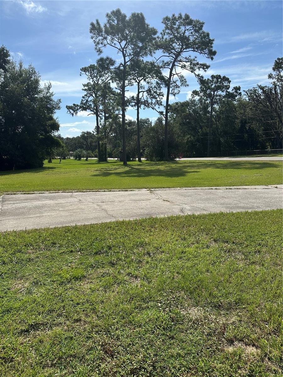 Driveway looking out to Pretty Pond Road