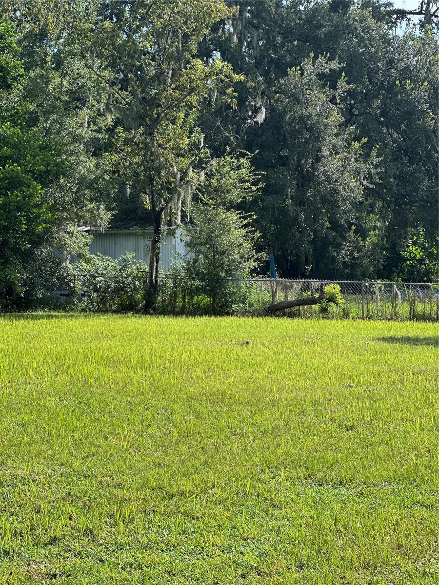 Spacious Back yard