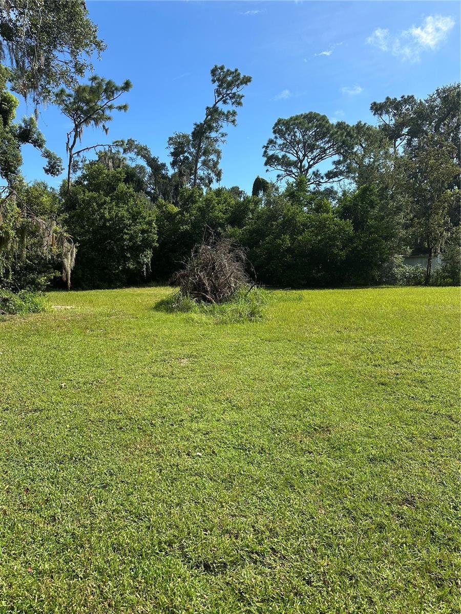 Spacious Back Yard