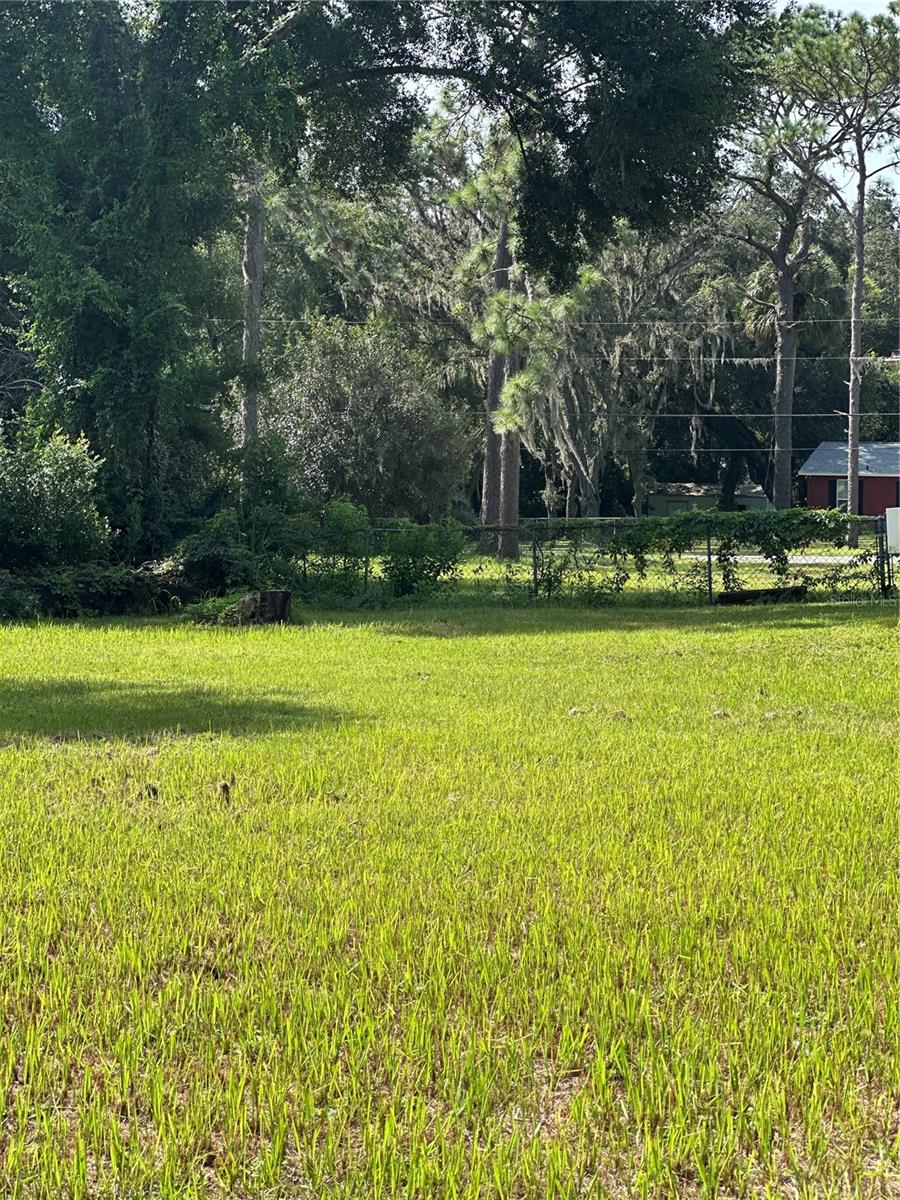 Back Yard
