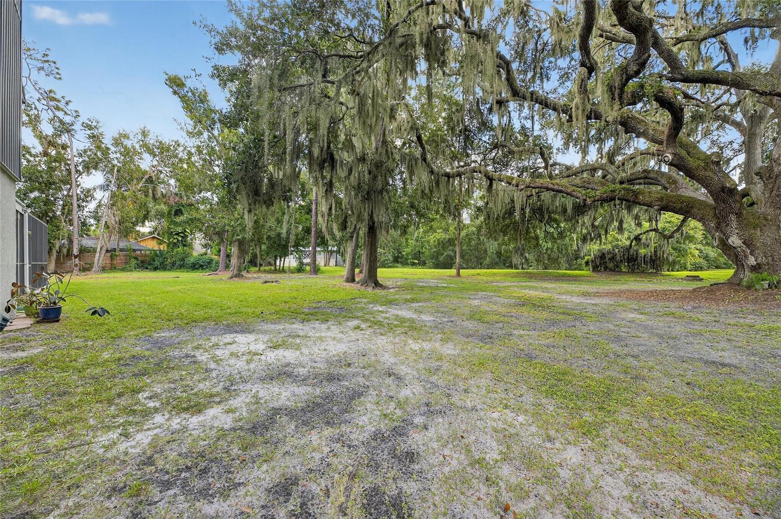 Right side yard