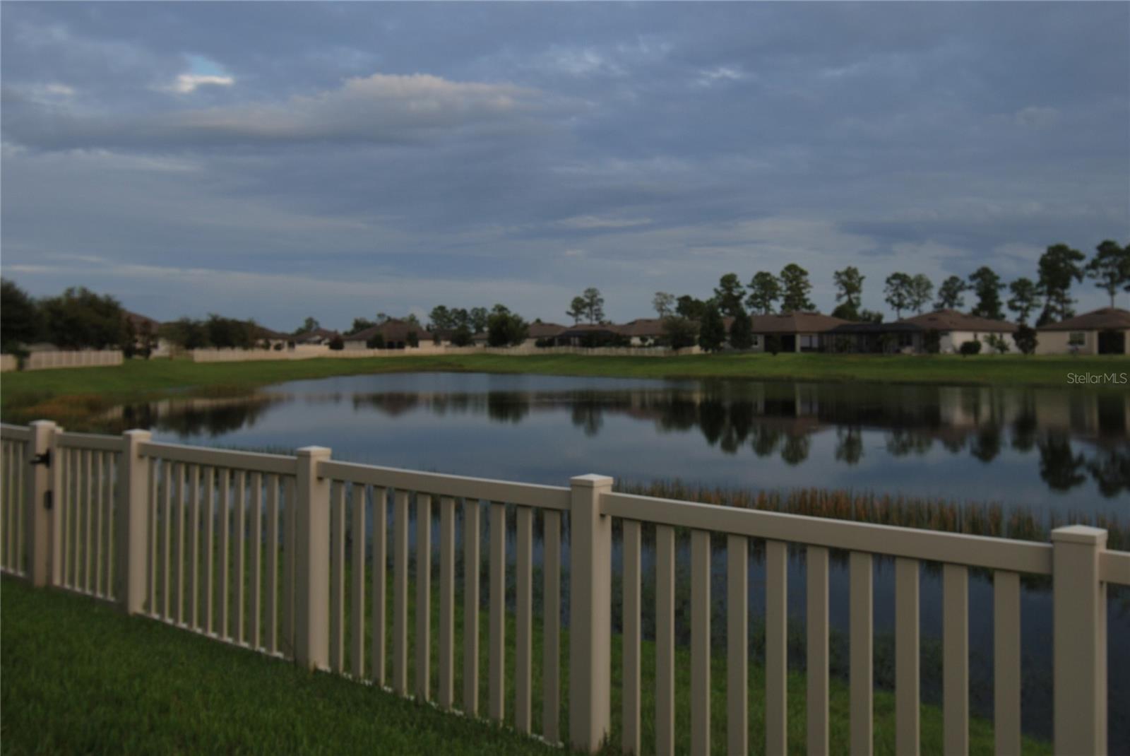 Pond view - Dusk