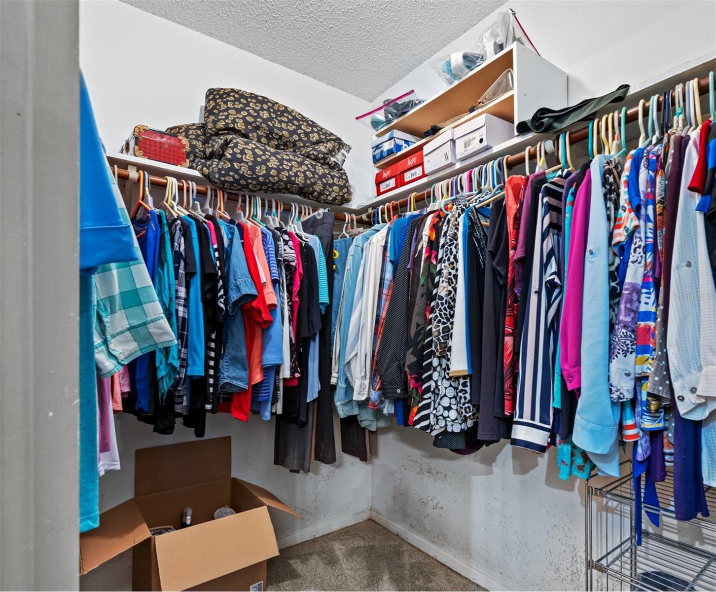 1 of 2 walk-in closets