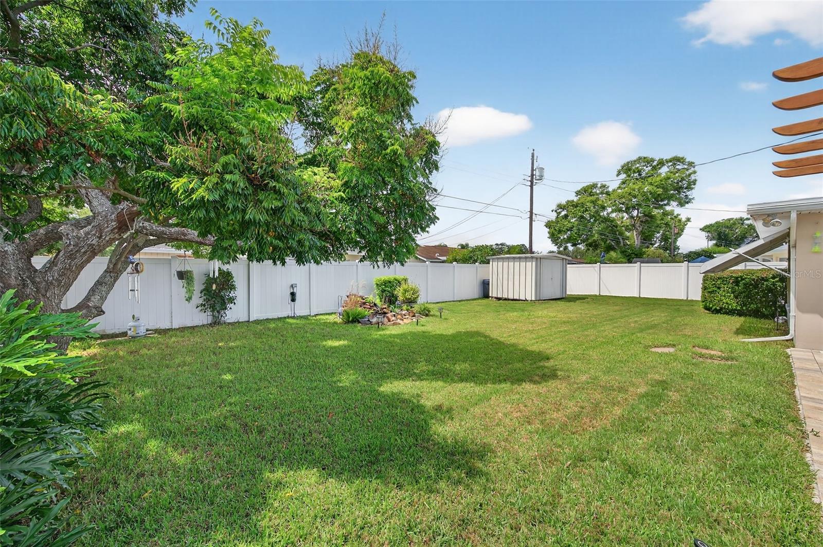 Back yard.