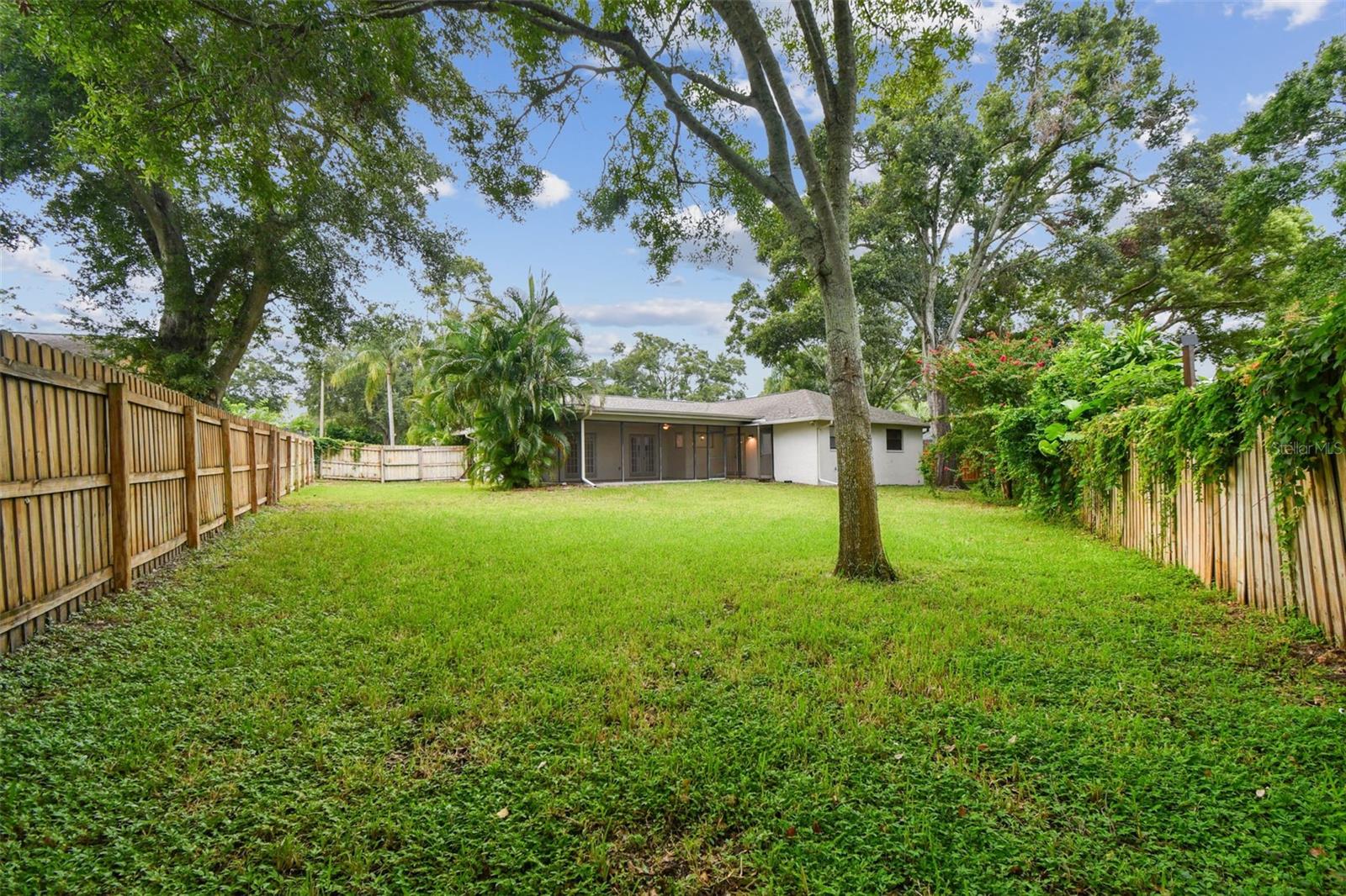 Backyard
