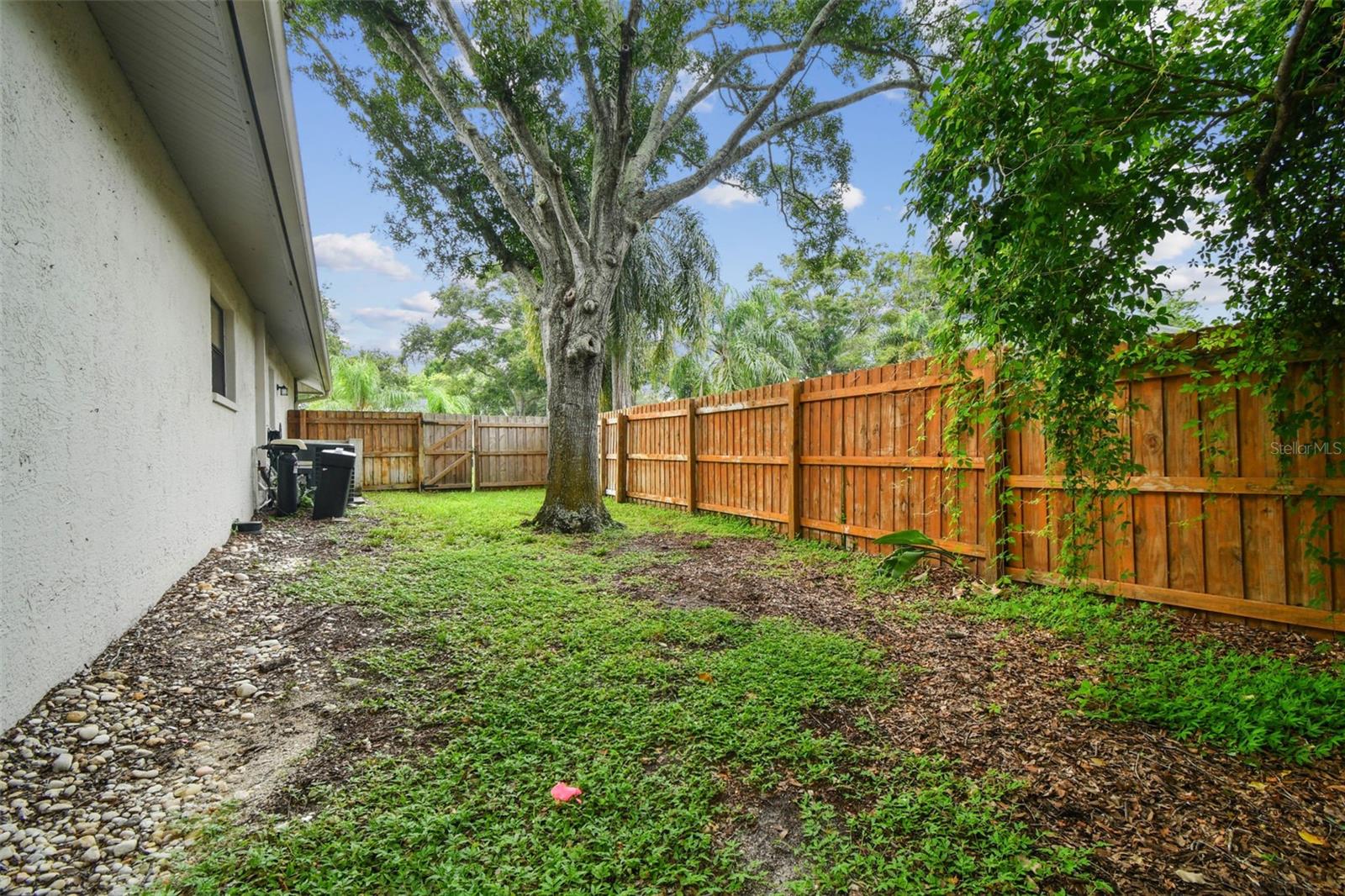 Side Yard