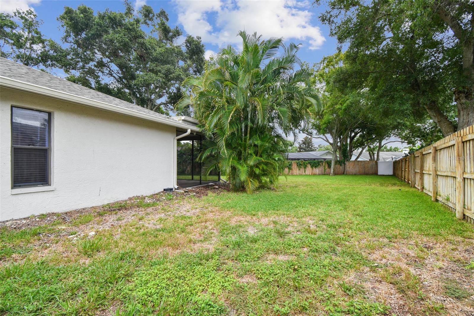 Side Yard