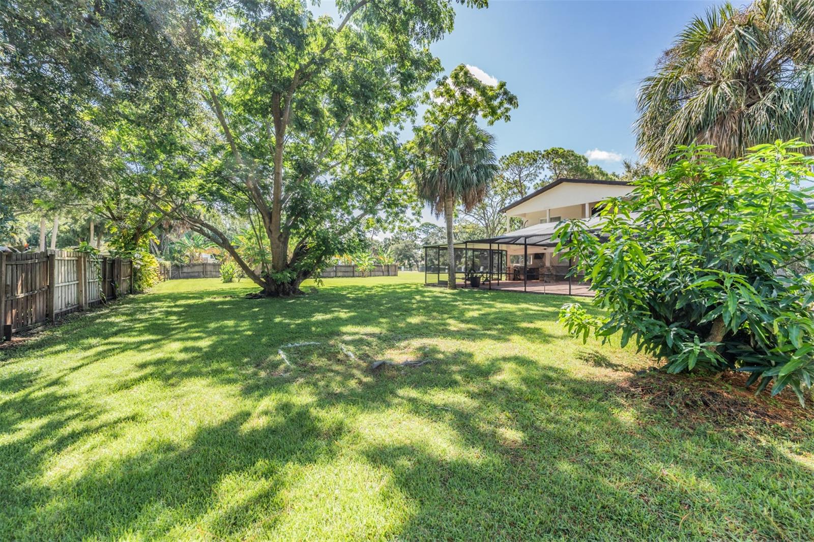 Backyard/Rear