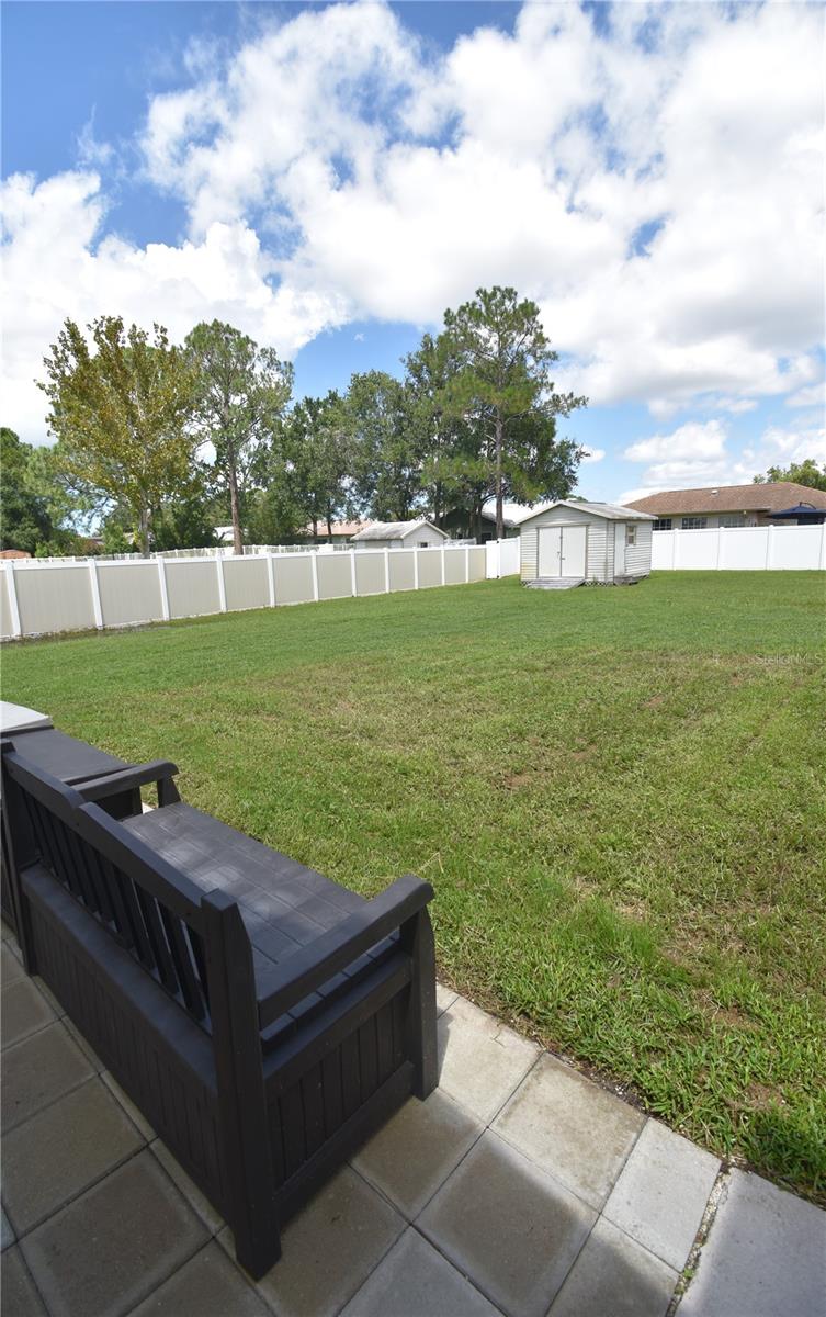 Backyard