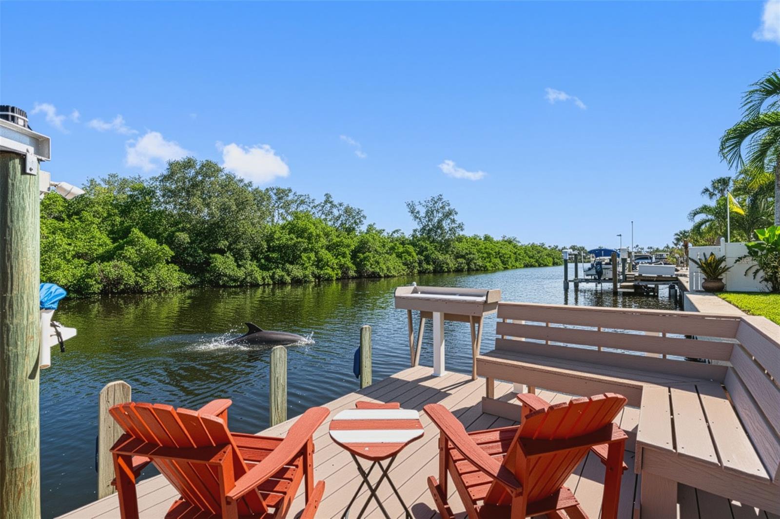 Watch the Dolphins Play from your back deck
