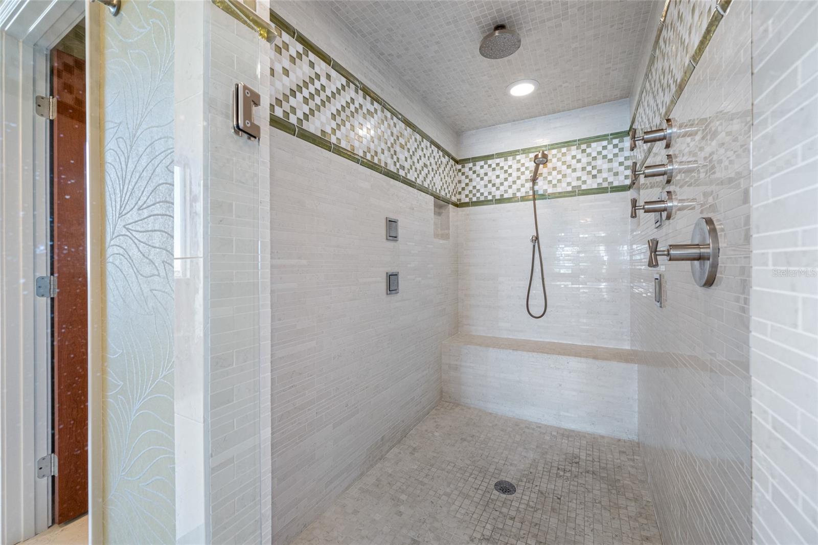 Primary bath Shower