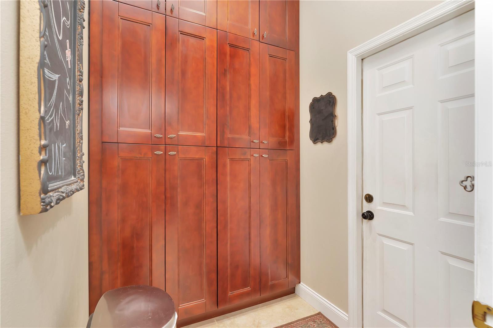 Built in Pantry