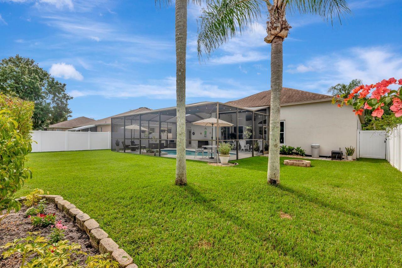 Beautiful Lawn