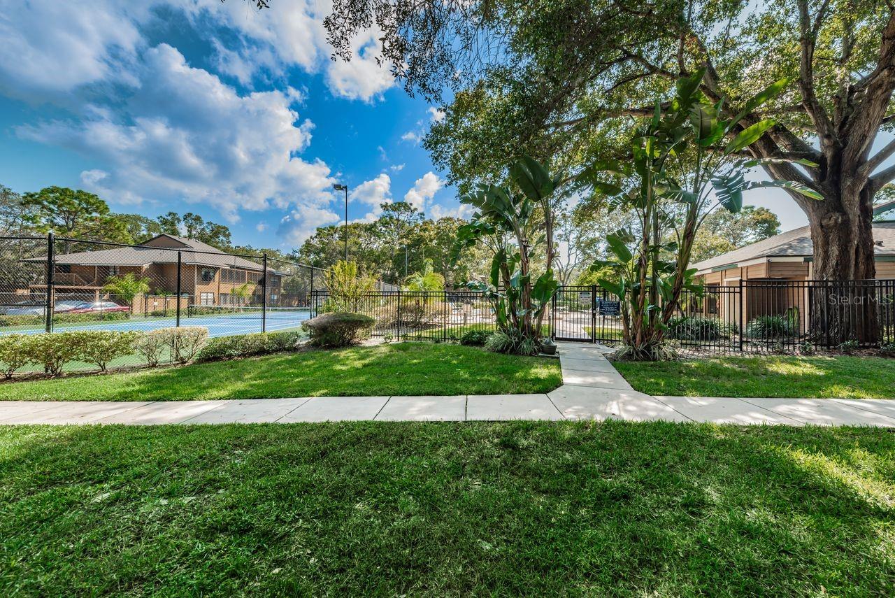 Clubhouse grounds