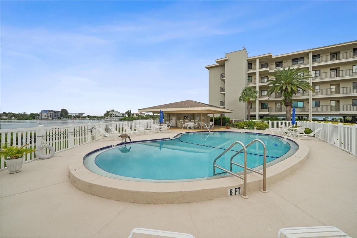 Waterfront Heated Pool
