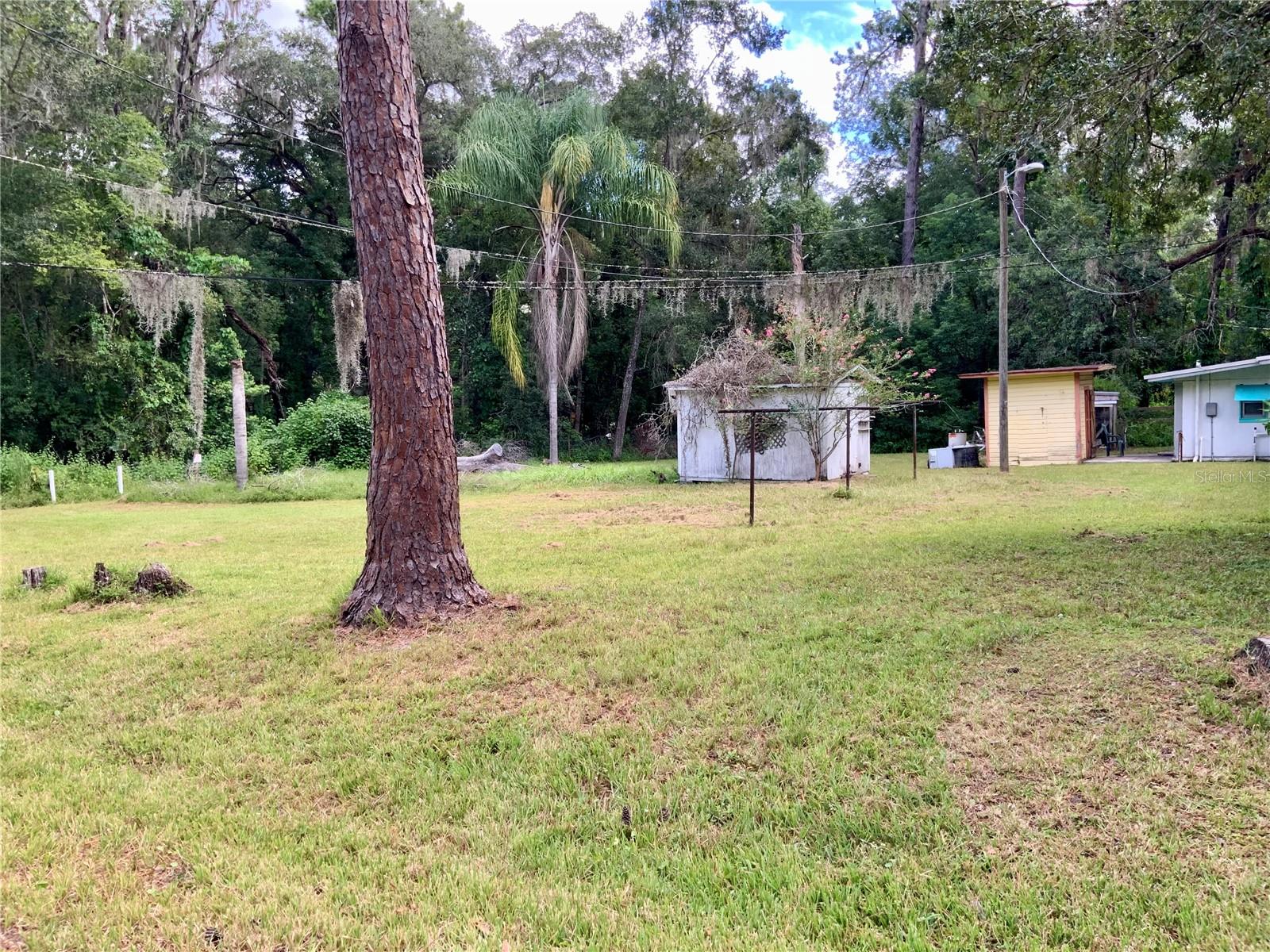 Rear yard