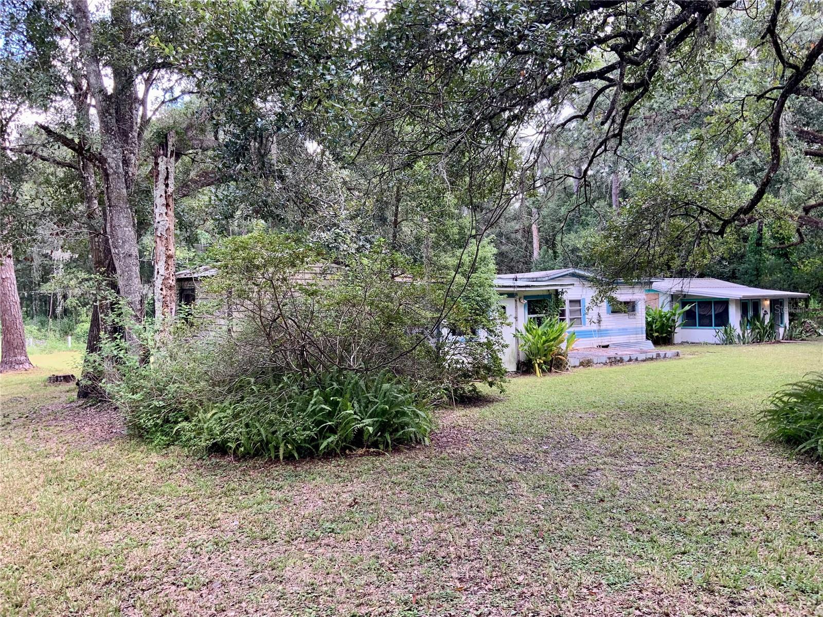 Front yard