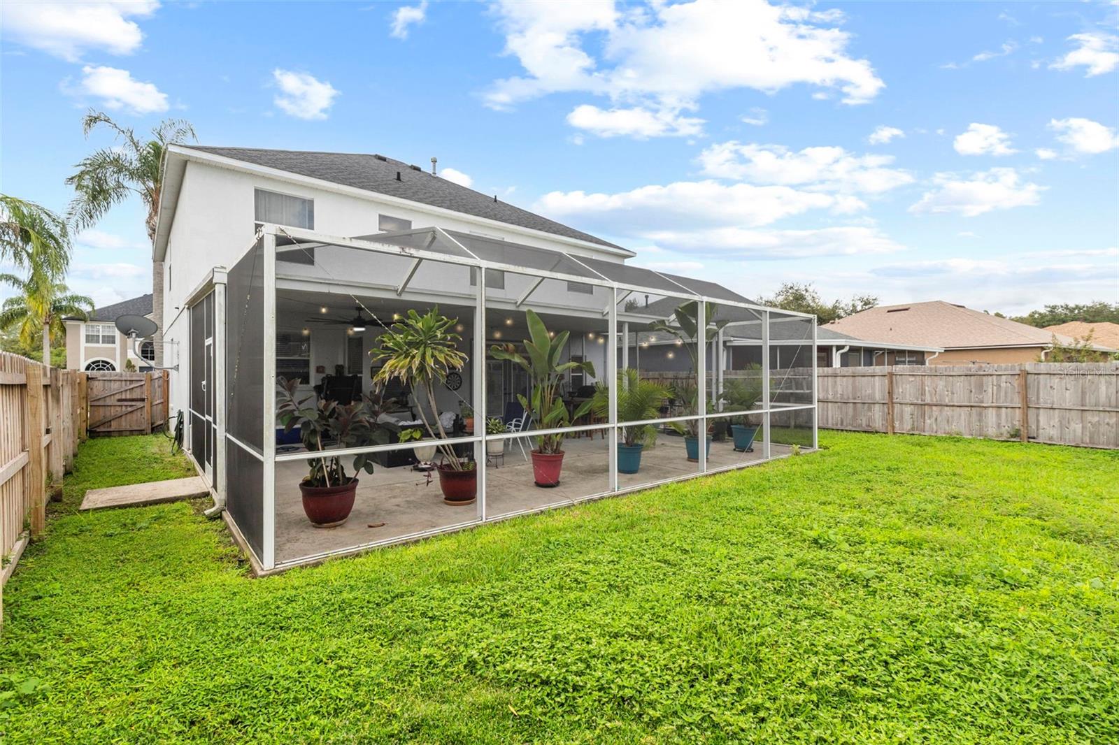 Back Yard