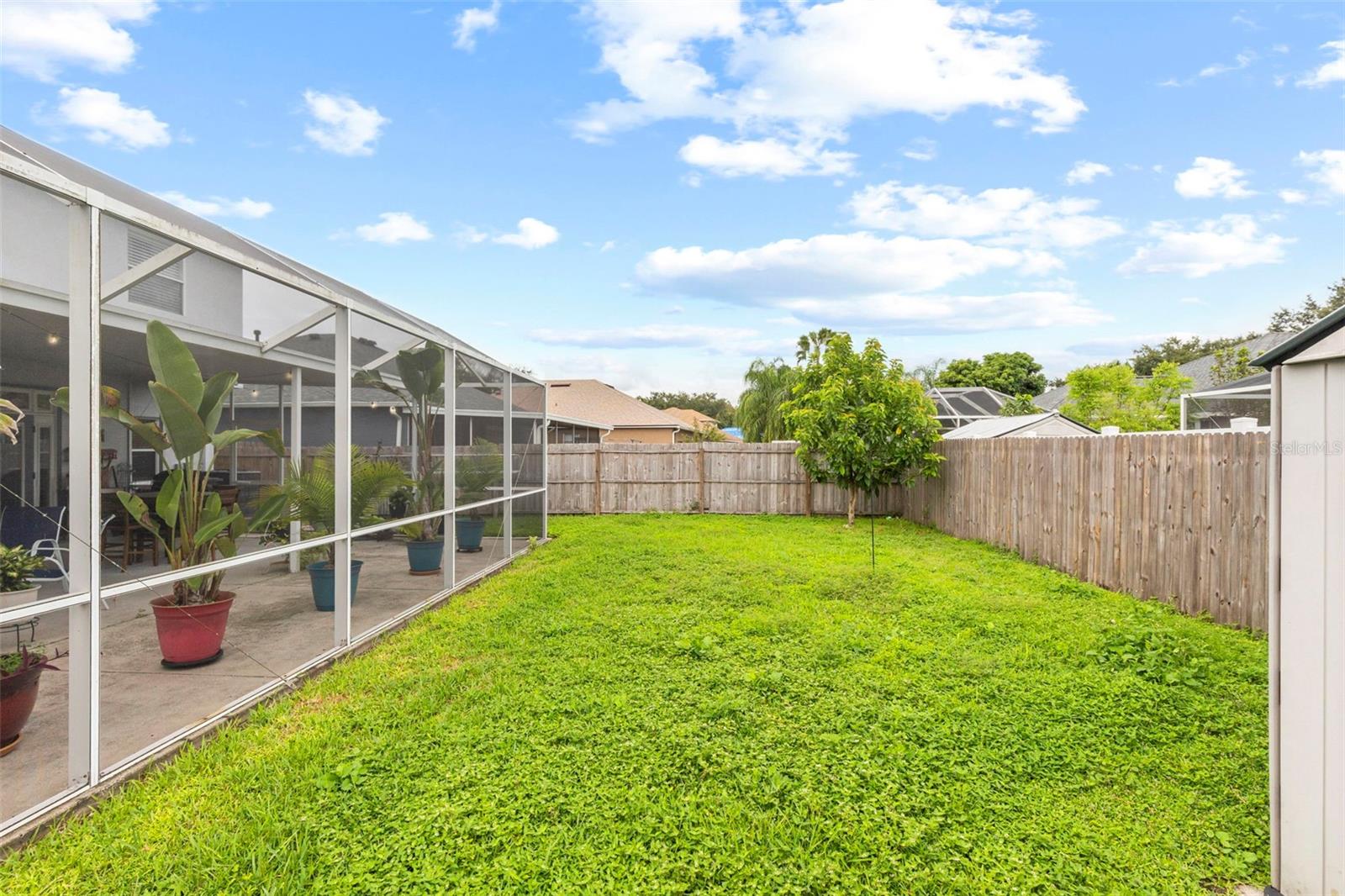 Back Yard