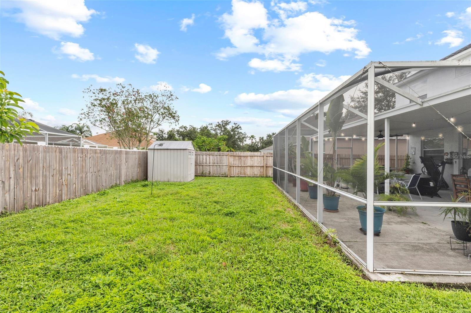 Back Yard with Shed