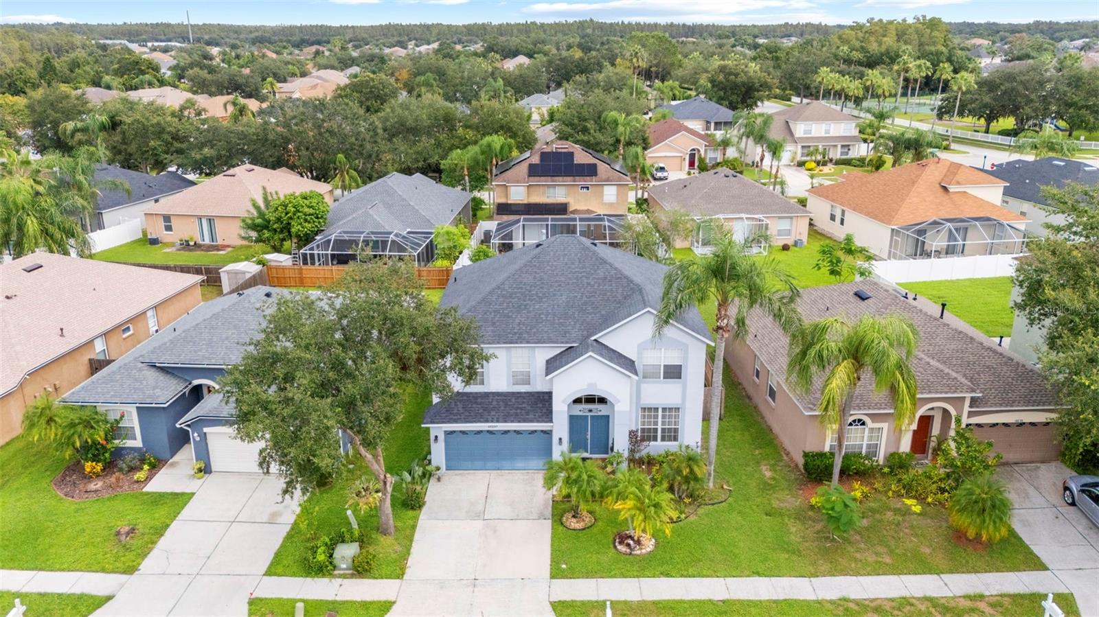 Aerial Views