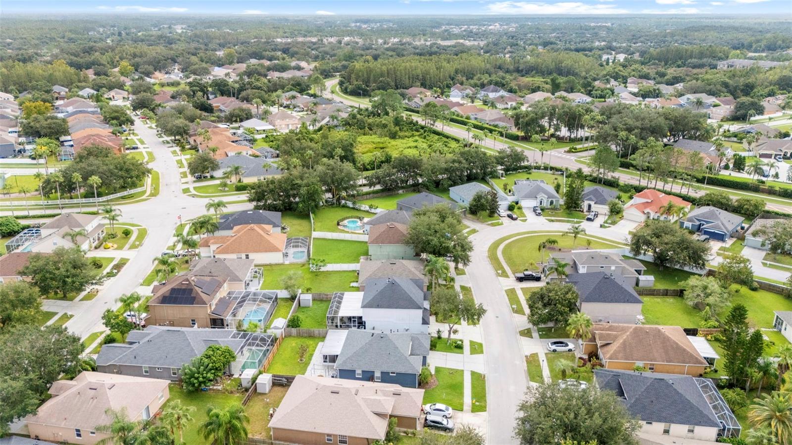 Aerial Views