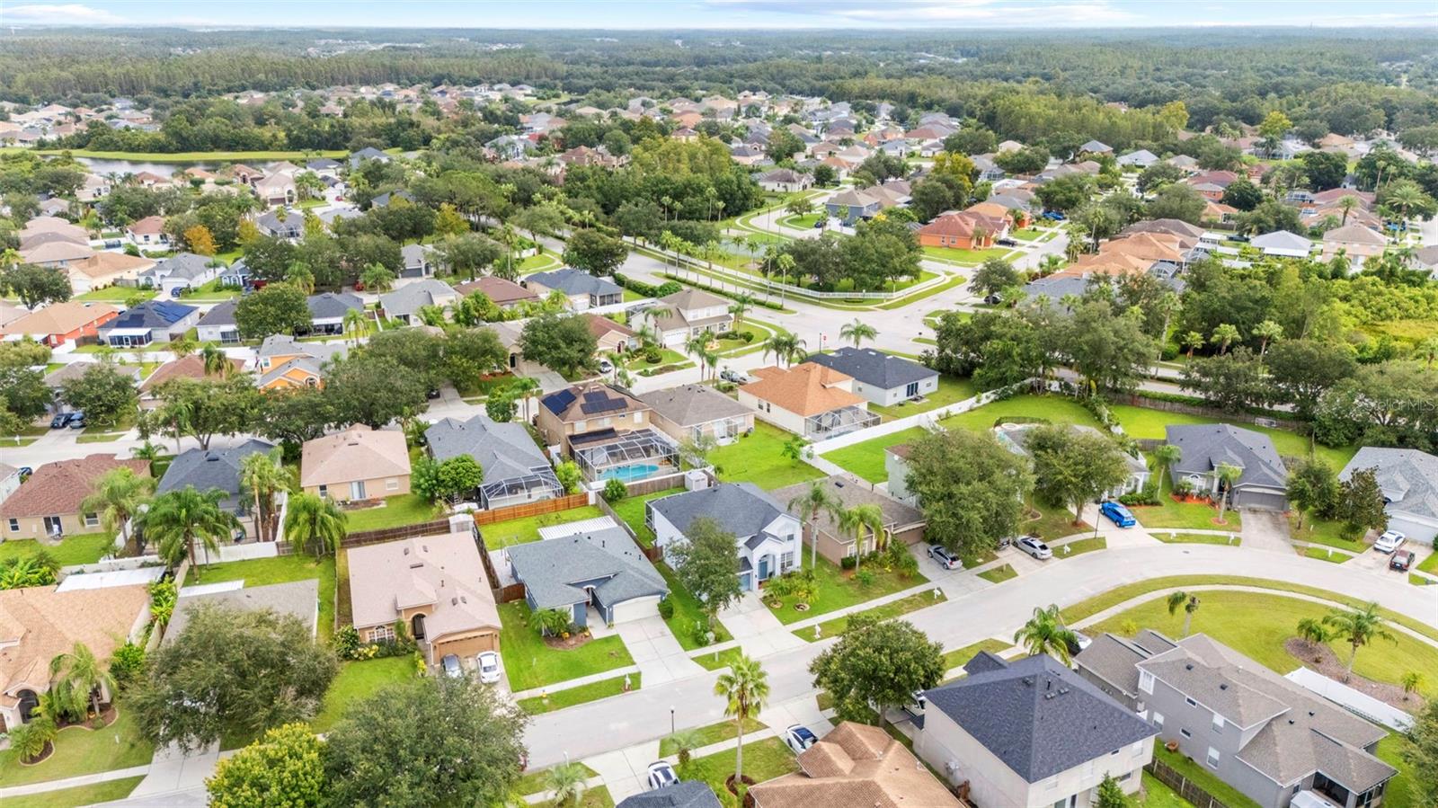 Aerial Views