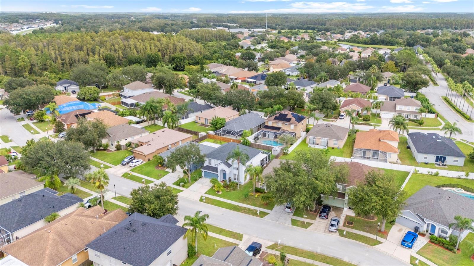 Aerial Views