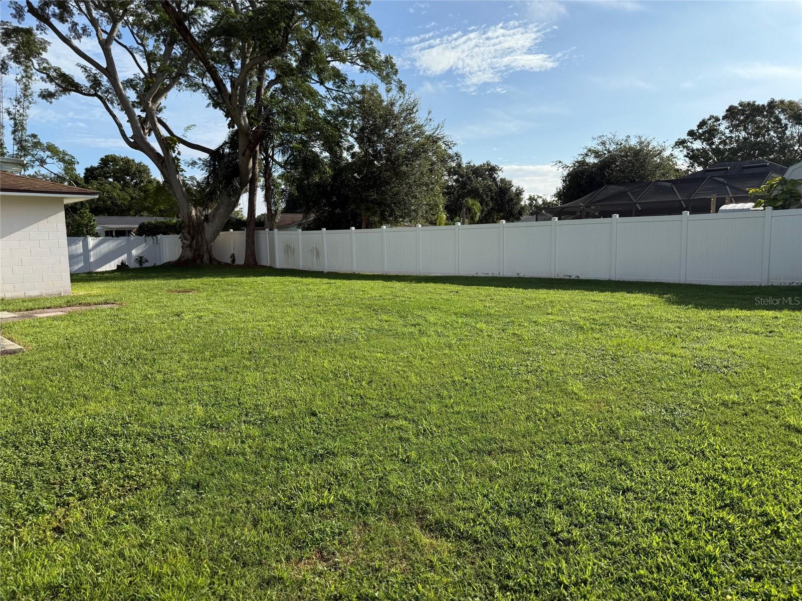 Backyard
