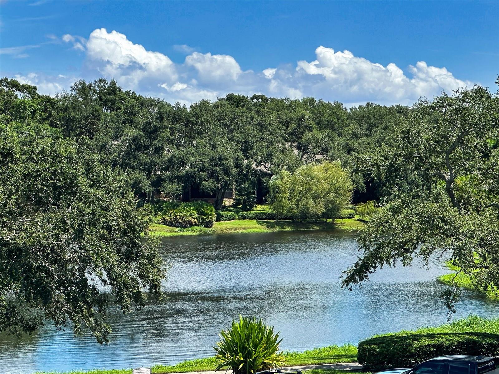 Serene Harold's Lake is your view from living room