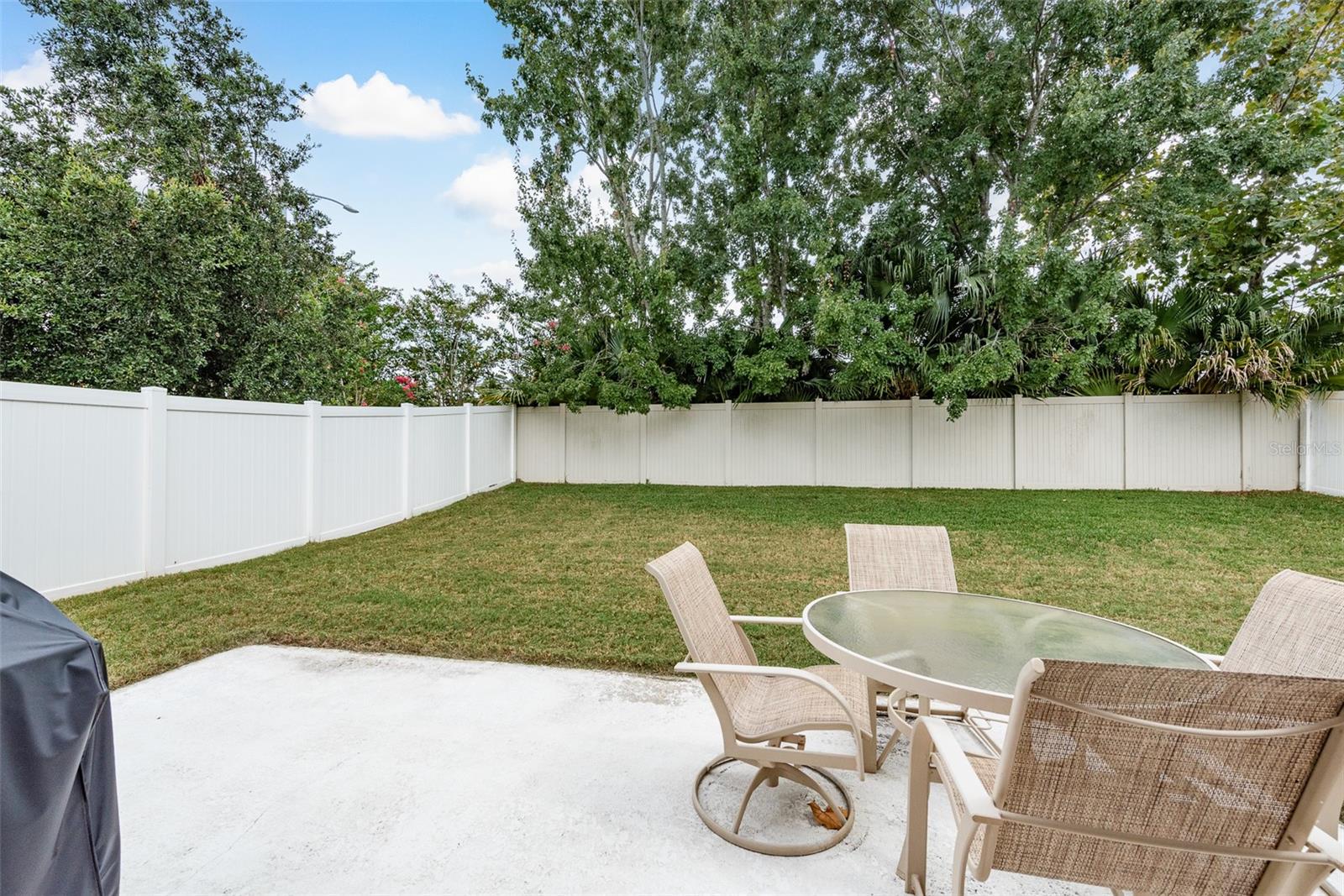 Back Yard