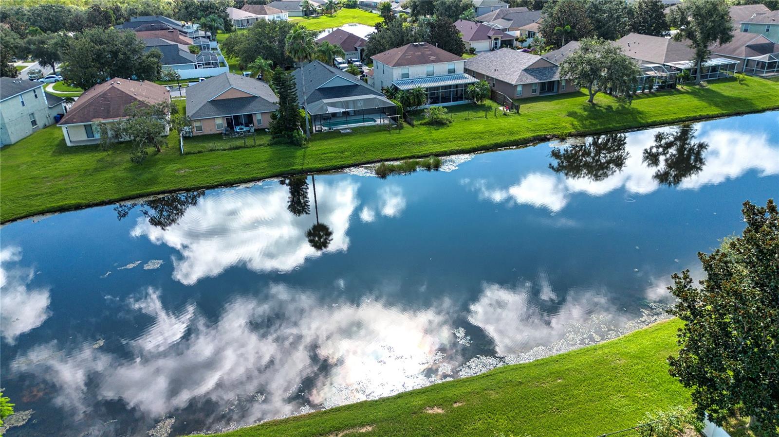 Pond