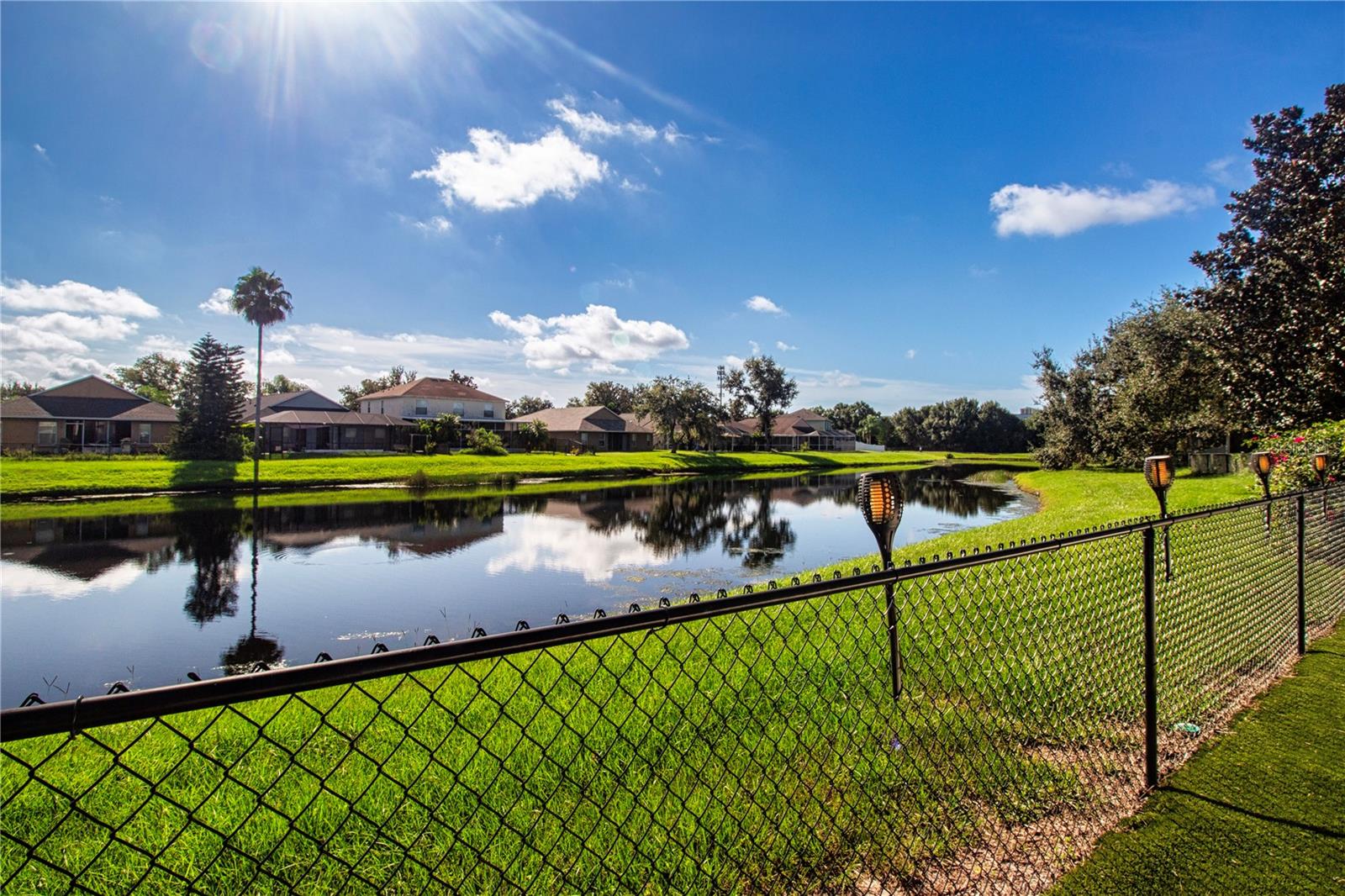Pond & backyard