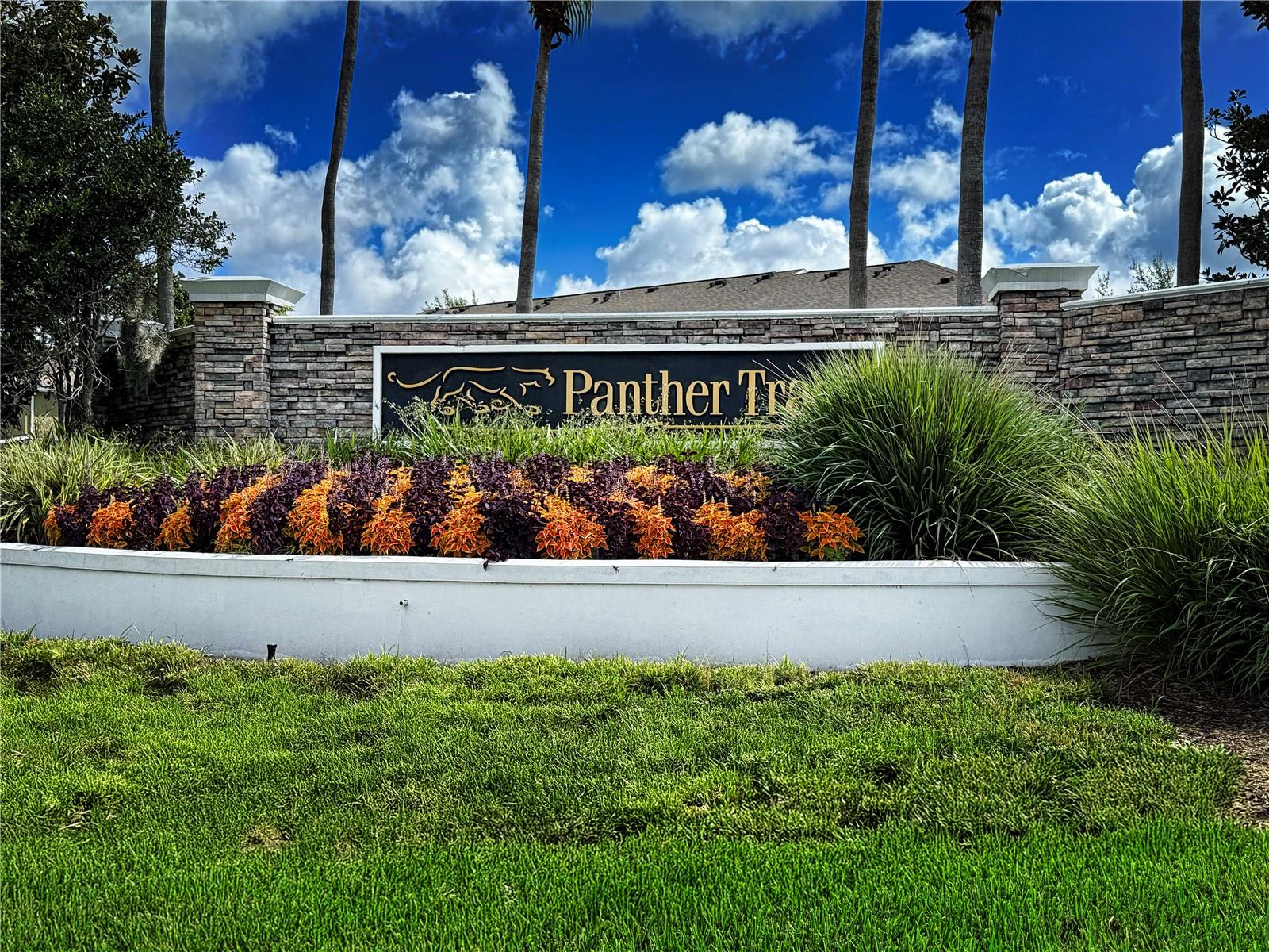 Panther Trace