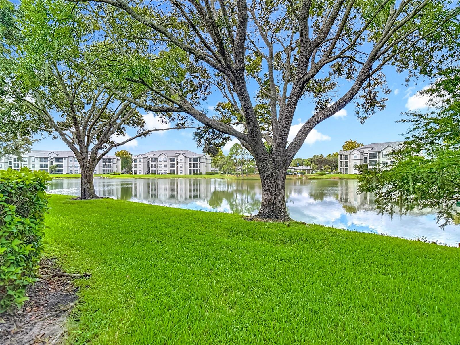 Pond View