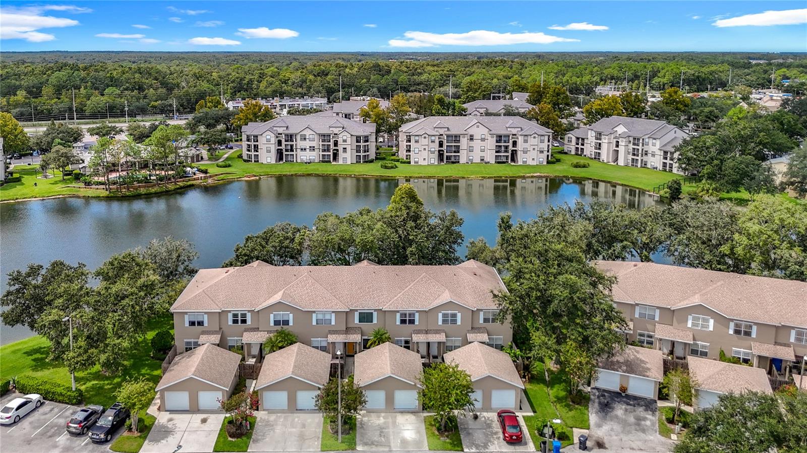 Drone View