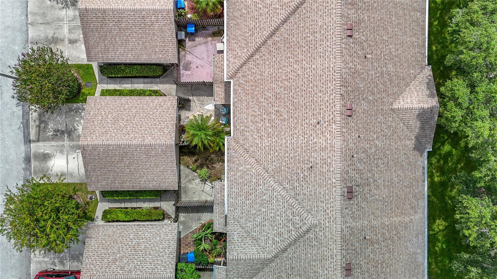 Roof View