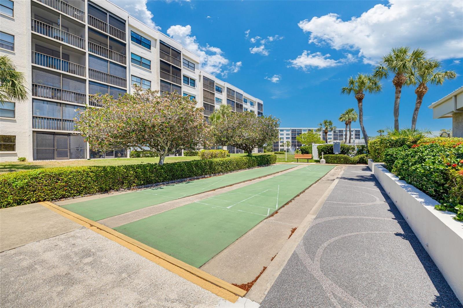 Shuffleboard Court