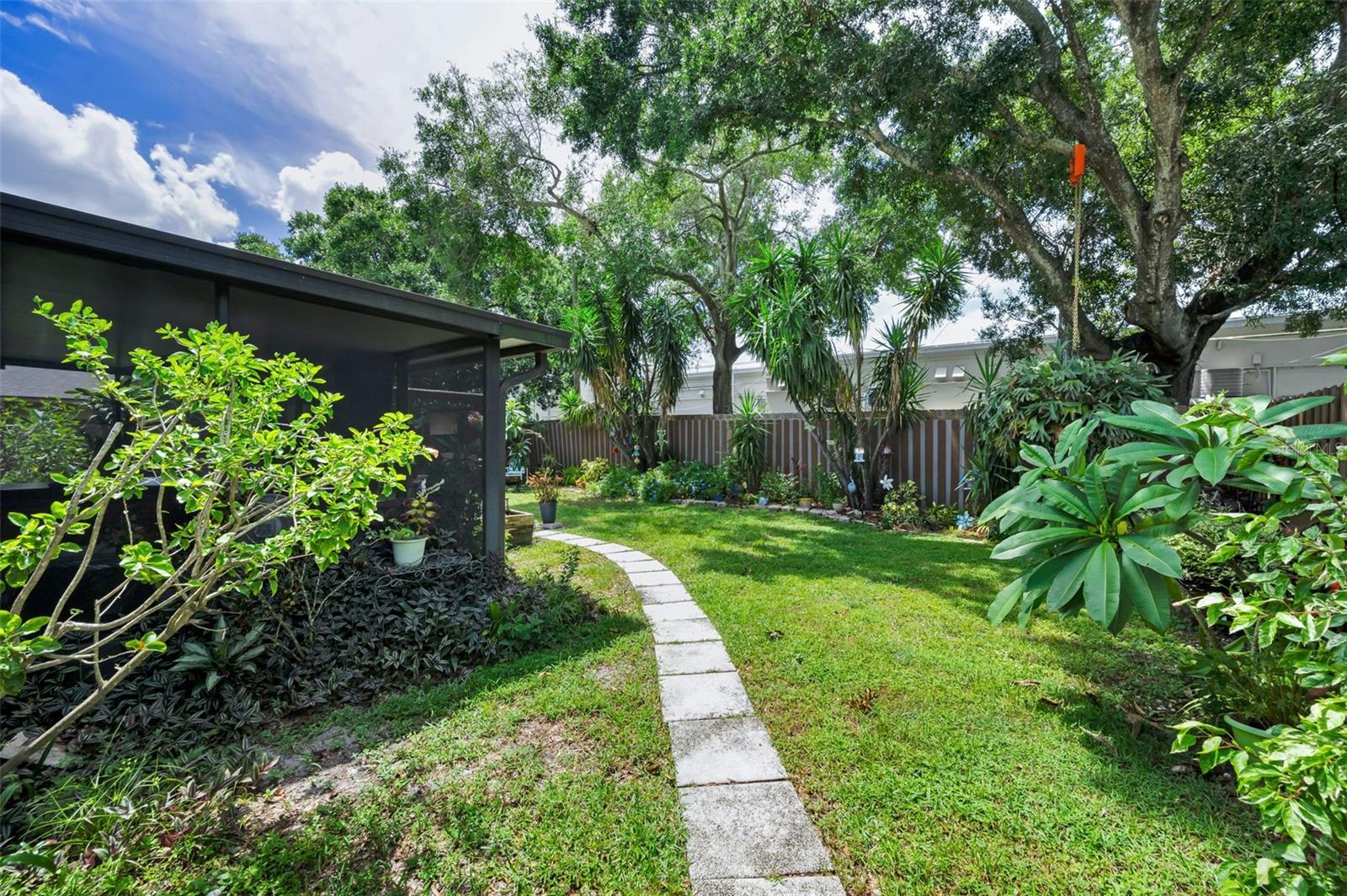 Back Yard