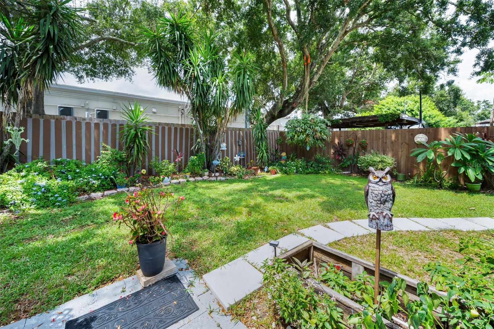 Back Yard